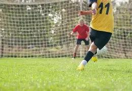 塔帅揭秘,萨利巴与特,罗萨德速愈,JBO竞博官网,JBO竞博官网在线娱乐平台