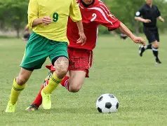 博洛尼亚,都灵,周五意甲热,JBO竞博官网,JBO竞博官网在线娱乐平台