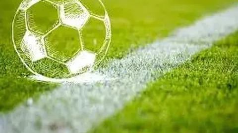 德约科维奇迈阿密赛冠军梦碎，安德烈娃女双组合绽放光芒