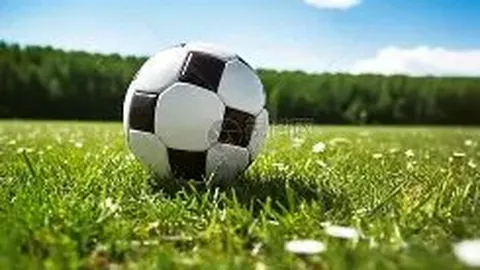 独行侠2月26日赛事亮点：东契奇精华剪辑一览